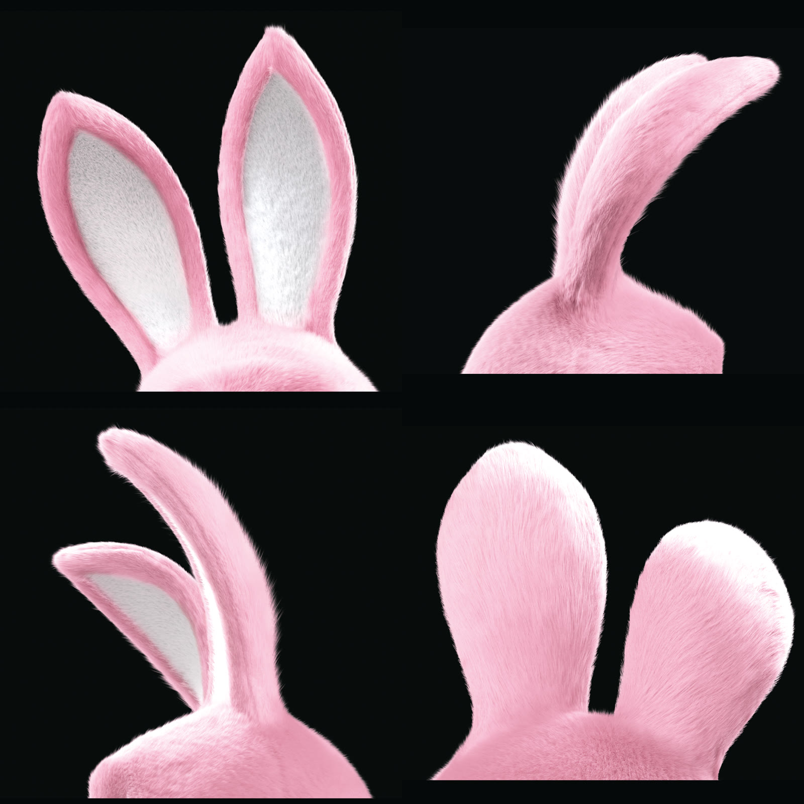 Approved ear and back-fur lock